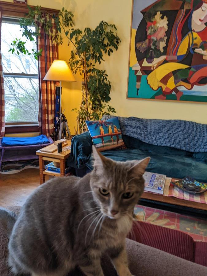 The One Cat Bed & Breakfast Brattleboro Ngoại thất bức ảnh