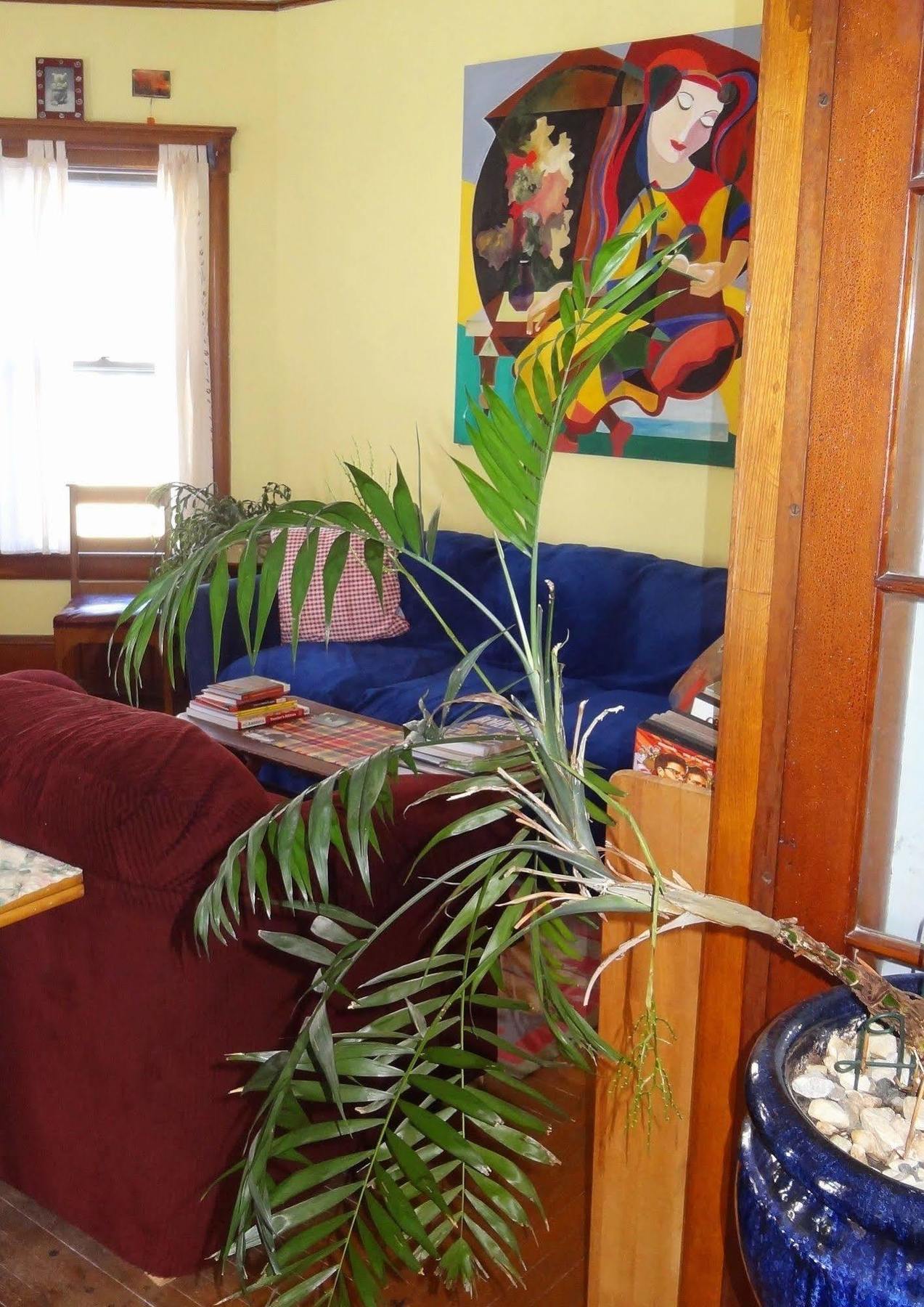 The One Cat Bed & Breakfast Brattleboro Ngoại thất bức ảnh