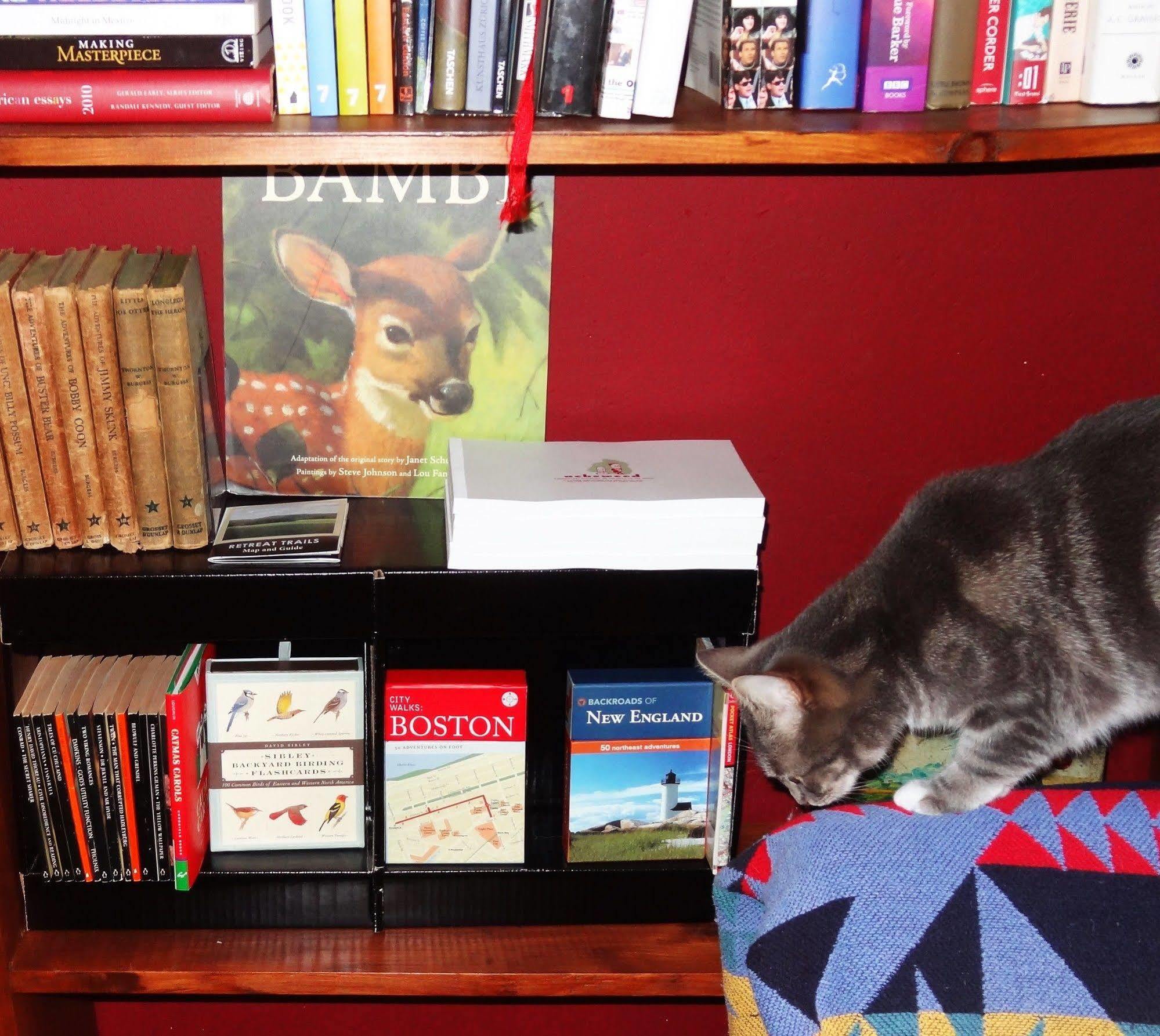 The One Cat Bed & Breakfast Brattleboro Ngoại thất bức ảnh