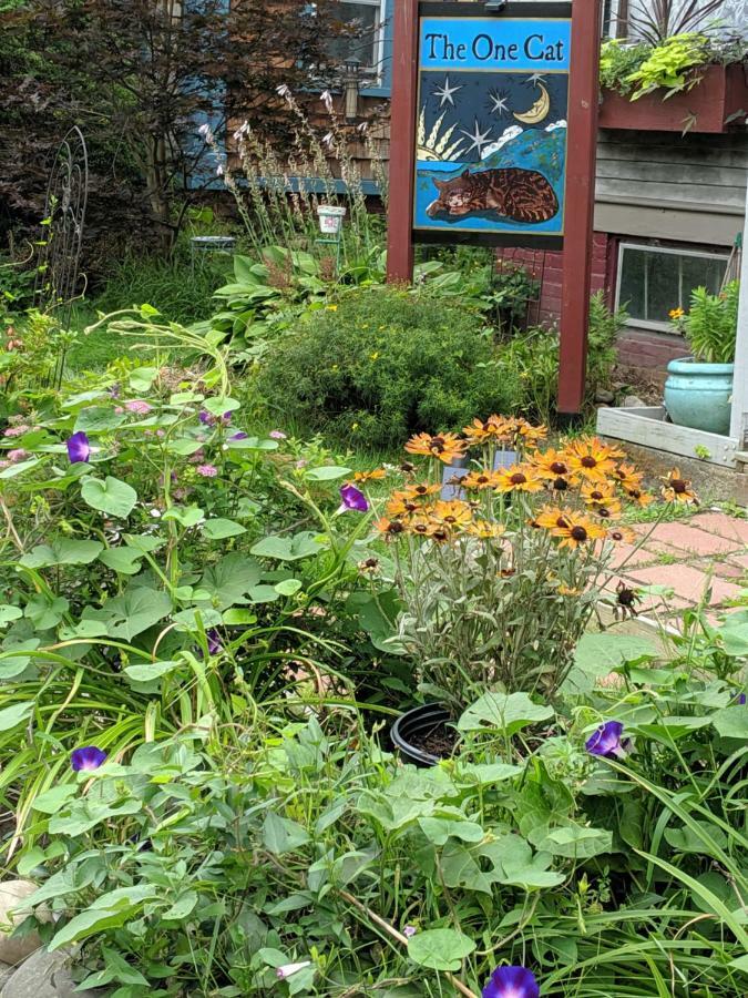 The One Cat Bed & Breakfast Brattleboro Ngoại thất bức ảnh